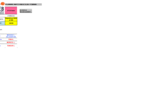 Report Match Sénior Fille 10 Avril 2022